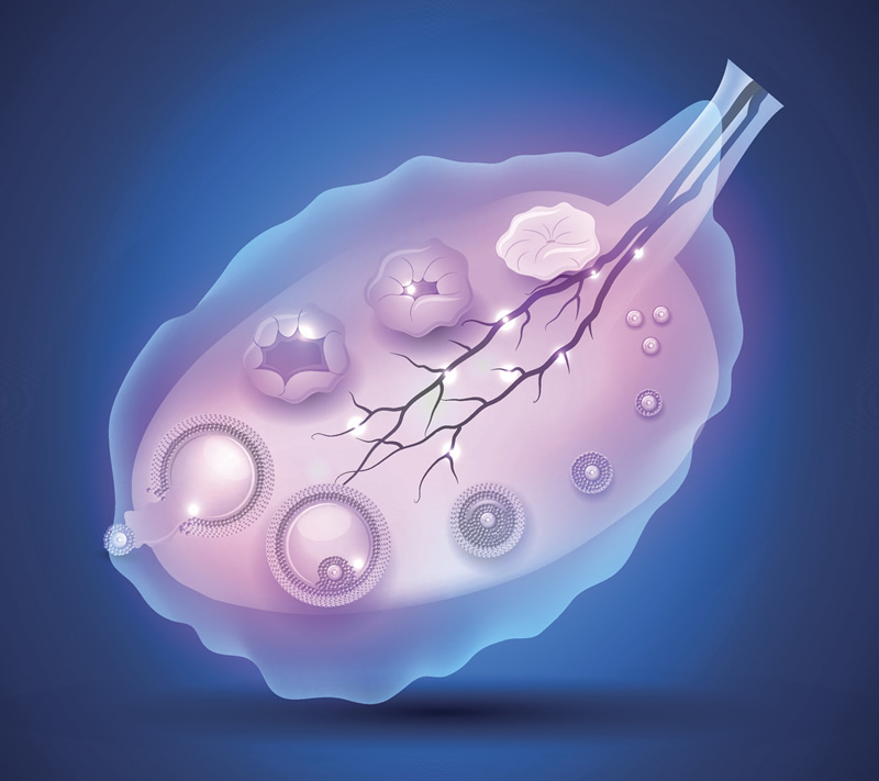 广西助孕机构推荐：哪家更靠谱？南宁私人助孕服务真的可信吗？